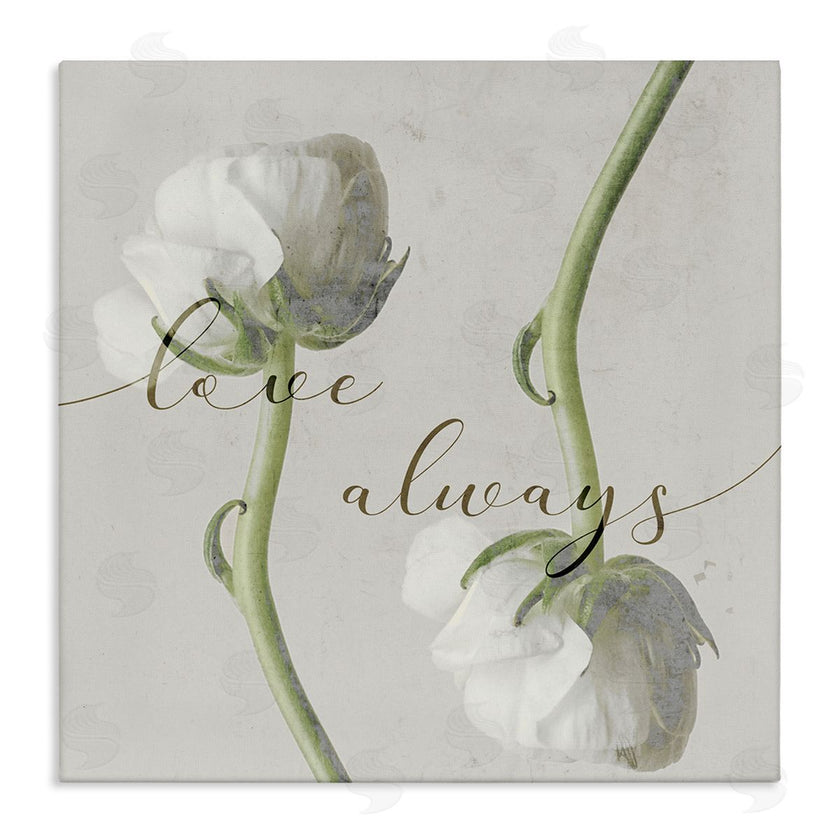 Stupell Studio | Love Always Phrase Asymmetrical Floral White Roses