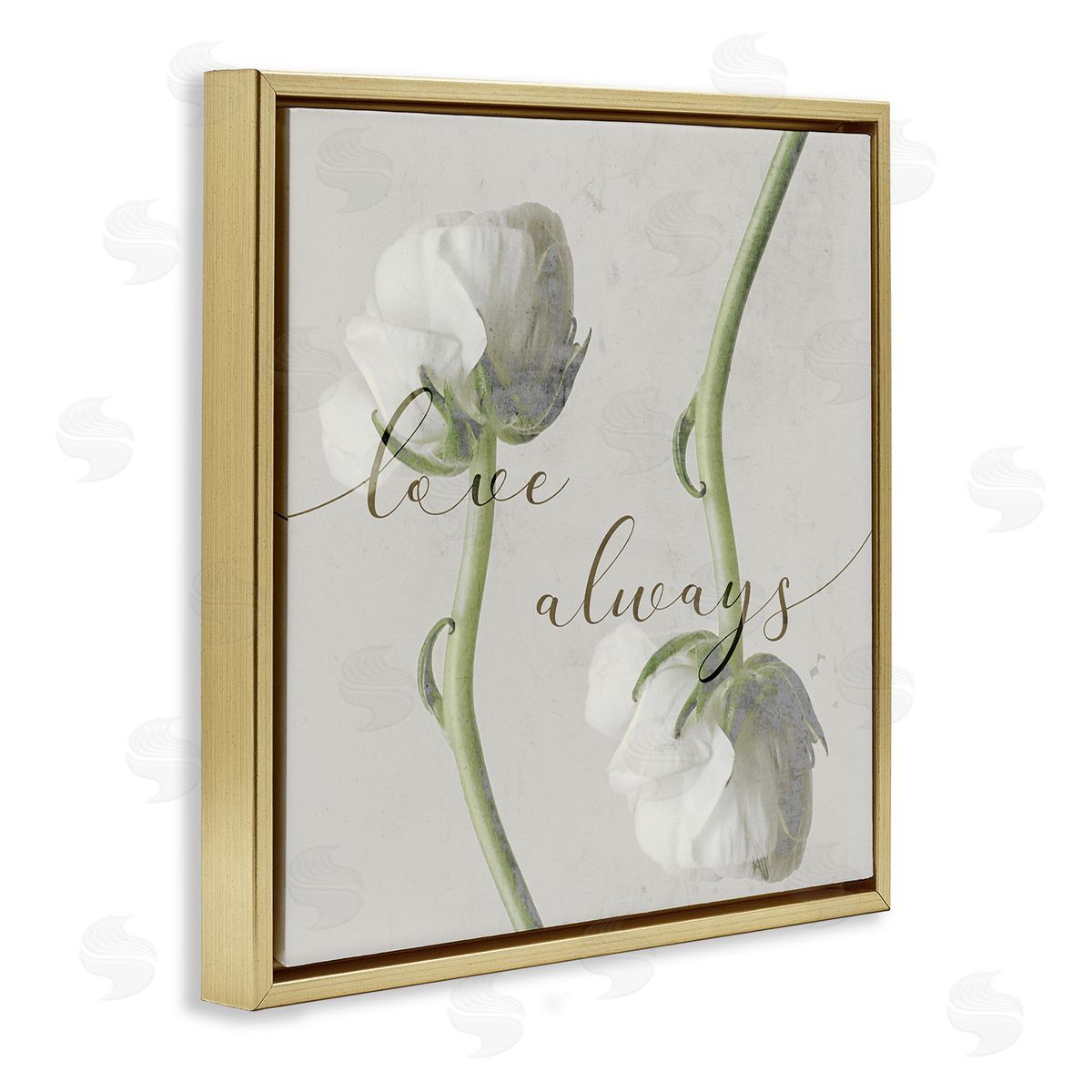 Stupell Studio Love Always Phrase Asymmetrical Floral White Roses Gold Floater Frame Canvas Art
