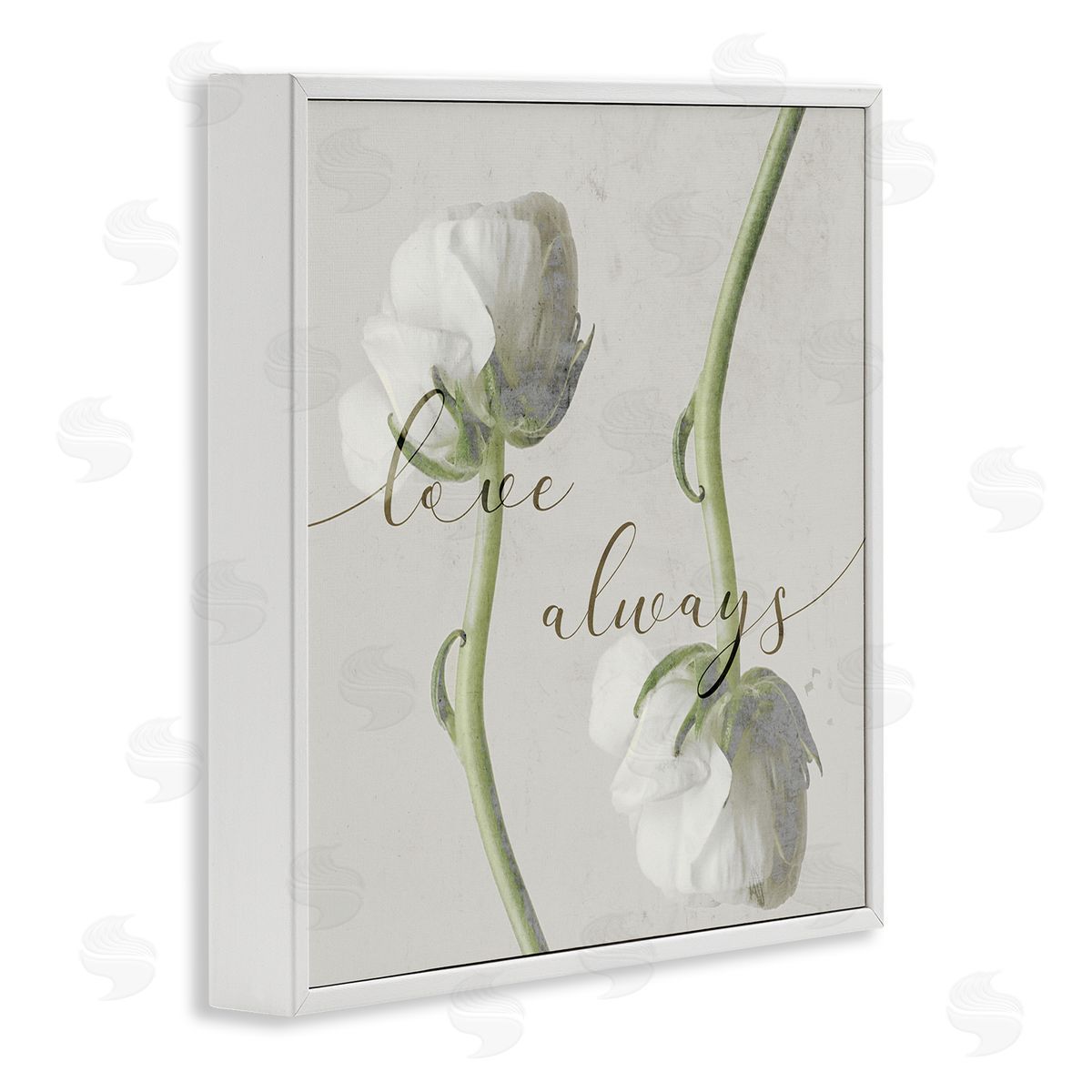 Stupell Studio Love Always Phrase Asymmetrical Floral White Roses White Framed Giclee Wall Art