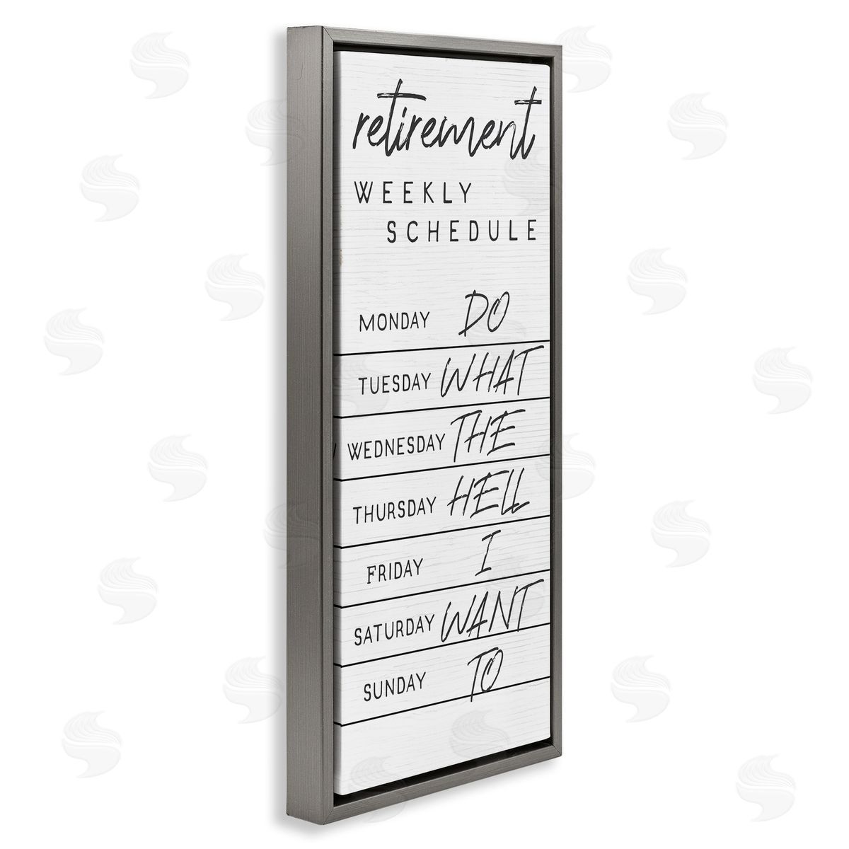 Stupell Studio Daily Retirement Schedule Funny Weekday Humor Gray Floater Frame Canvas Art