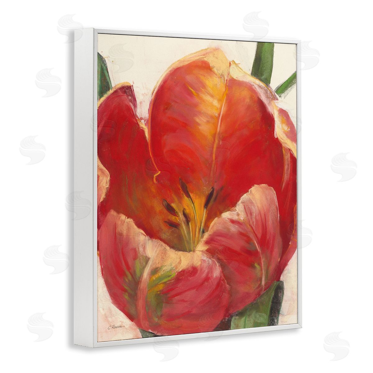 Carol Rowan Soft Red Tulip Floral Close-Up Petal Detail White Framed Giclee Wall Art