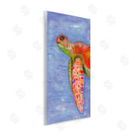 Elvira Errico | Rainbow Sea Tortoise Soft Coastal Swimming Portrait