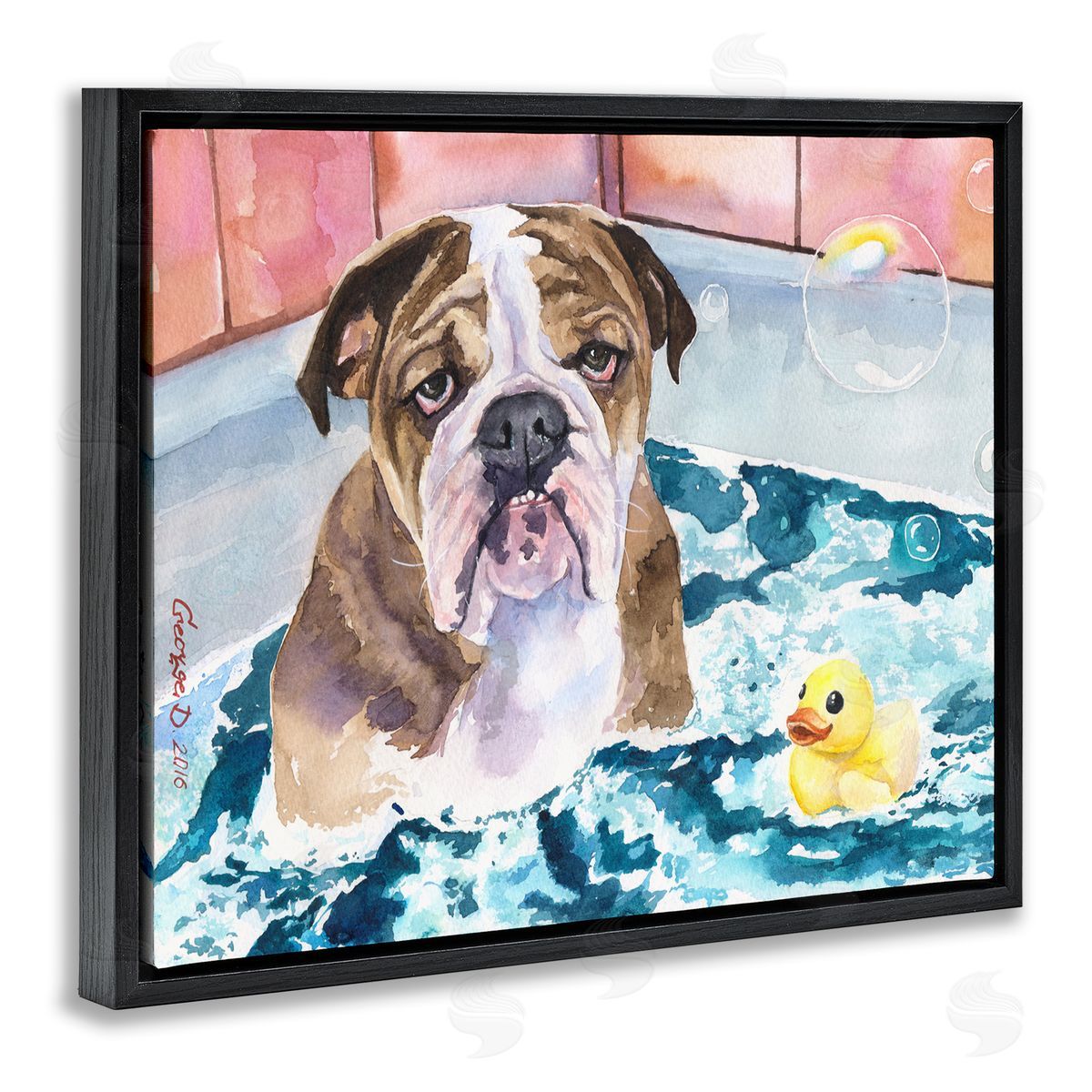 George Dyachenko English Bulldog In Bathtub Rubber Duck Bubbles Black Floater Frame Canvas Art