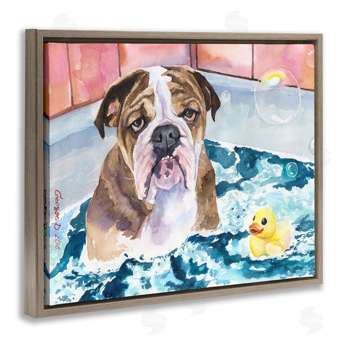 George Dyachenko English Bulldog In Bathtub Rubber Duck Bubbles Brown Floater Frame Canvas Art