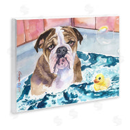 George Dyachenko | English Bulldog In Bathtub Rubber Duck Bubbles