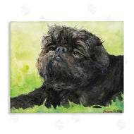 George Dyachenko | Brussel Griffon Pet Dog Portrait Green Black