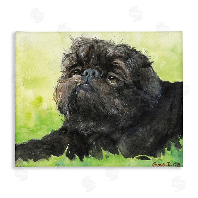 George Dyachenko | Brussel Griffon Pet Dog Portrait Green Black