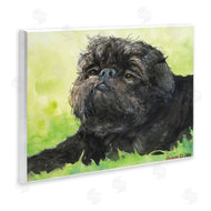 George Dyachenko | Brussel Griffon Pet Dog Portrait Green Black