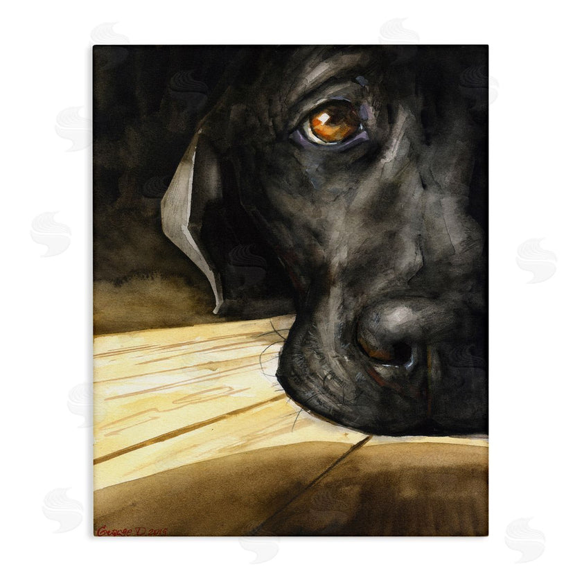 George Dyachenko | Labrador Resting Pet Dog Portrait Brown Black
