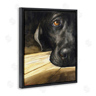George Dyachenko | Labrador Resting Pet Dog Portrait Brown Black