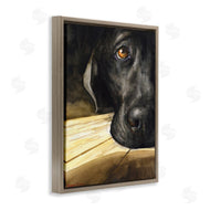 George Dyachenko | Labrador Resting Pet Dog Portrait Brown Black