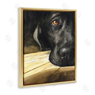 George Dyachenko | Labrador Resting Pet Dog Portrait Brown Black