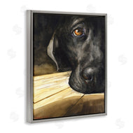 George Dyachenko | Labrador Resting Pet Dog Portrait Brown Black