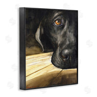 George Dyachenko | Labrador Resting Pet Dog Portrait Brown Black