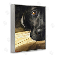 George Dyachenko | Labrador Resting Pet Dog Portrait Brown Black