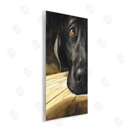 George Dyachenko | Labrador Resting Pet Dog Portrait Brown Black