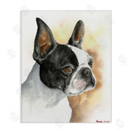 George Dyachenko | Boston Terrier Pet Dog Portrait Black Brown