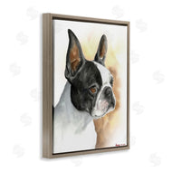 George Dyachenko | Boston Terrier Pet Dog Portrait Black Brown