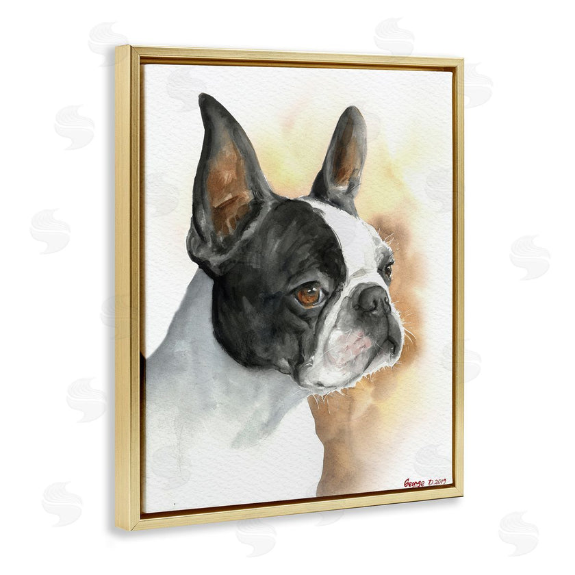 George Dyachenko | Boston Terrier Pet Dog Portrait Black Brown