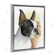 George Dyachenko | Boston Terrier Pet Dog Portrait Black Brown
