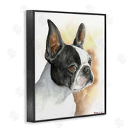 George Dyachenko | Boston Terrier Pet Dog Portrait Black Brown