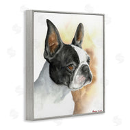 George Dyachenko | Boston Terrier Pet Dog Portrait Black Brown