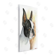 George Dyachenko | Boston Terrier Pet Dog Portrait Black Brown