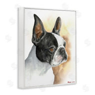 George Dyachenko | Boston Terrier Pet Dog Portrait Black Brown