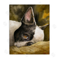 George Dyachenko | Boston Terrier Resting Dog Pet Portrait Black Brown