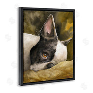 George Dyachenko | Boston Terrier Resting Dog Pet Portrait Black Brown