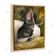 George Dyachenko | Boston Terrier Resting Dog Pet Portrait Black Brown