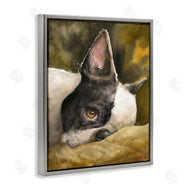 George Dyachenko | Boston Terrier Resting Dog Pet Portrait Black Brown