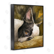 George Dyachenko | Boston Terrier Resting Dog Pet Portrait Black Brown