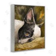 George Dyachenko | Boston Terrier Resting Dog Pet Portrait Black Brown