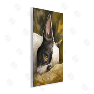 George Dyachenko | Boston Terrier Resting Dog Pet Portrait Black Brown
