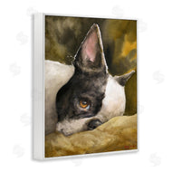 George Dyachenko | Boston Terrier Resting Dog Pet Portrait Black Brown