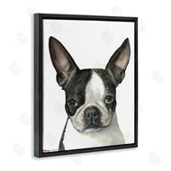 George Dyachenko | Minimal Boston Terrier Portrait Pet Dog Black White