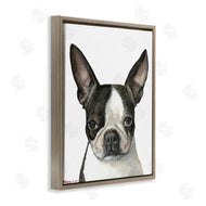 George Dyachenko | Minimal Boston Terrier Portrait Pet Dog Black White