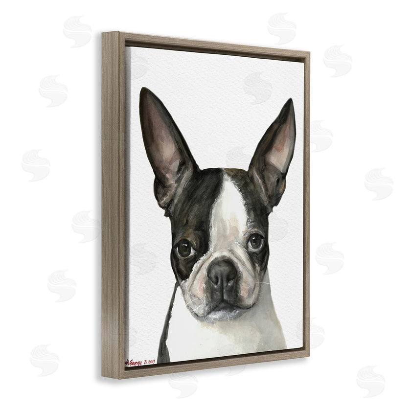 George Dyachenko | Minimal Boston Terrier Portrait Pet Dog Black White