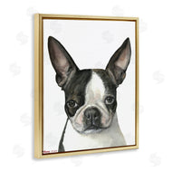 George Dyachenko | Minimal Boston Terrier Portrait Pet Dog Black White