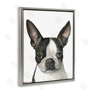 George Dyachenko | Minimal Boston Terrier Portrait Pet Dog Black White