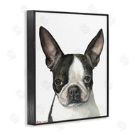 George Dyachenko | Minimal Boston Terrier Portrait Pet Dog Black White
