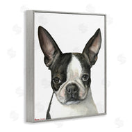 George Dyachenko | Minimal Boston Terrier Portrait Pet Dog Black White