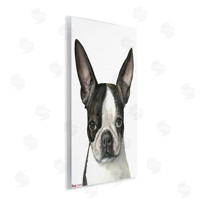 George Dyachenko | Minimal Boston Terrier Portrait Pet Dog Black White