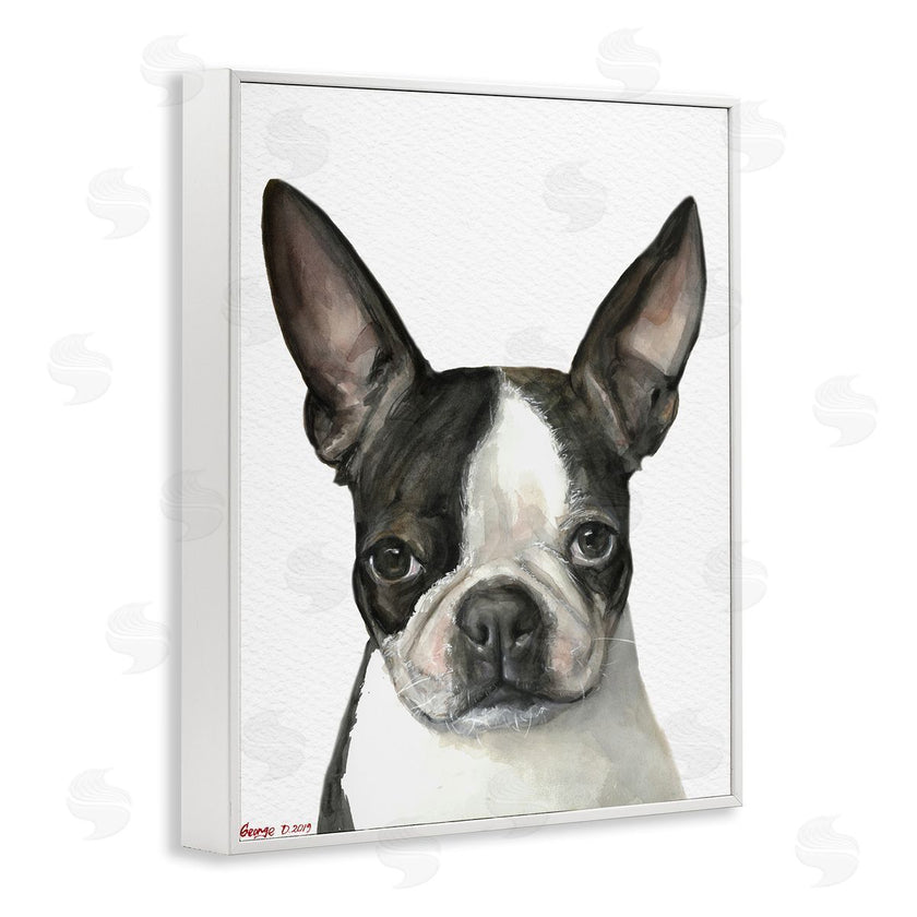 George Dyachenko | Minimal Boston Terrier Portrait Pet Dog Black White