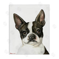 George Dyachenko | Curious Boston Terrier Portrait Pet Dog Watercolor