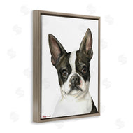 George Dyachenko | Curious Boston Terrier Portrait Pet Dog Watercolor