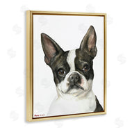 George Dyachenko | Curious Boston Terrier Portrait Pet Dog Watercolor