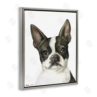 George Dyachenko | Curious Boston Terrier Portrait Pet Dog Watercolor