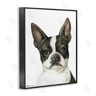 George Dyachenko | Curious Boston Terrier Portrait Pet Dog Watercolor